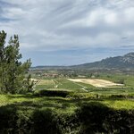 Photo taken by Liz S