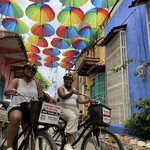 Photo taken by Bincy P