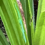 Photo taken by Rosemary S