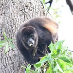 Photo taken by Graeme W