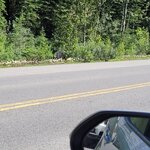 Photo taken by Virender V