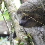 Photo taken by Jennifer G