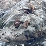 Photo taken by Ruth E