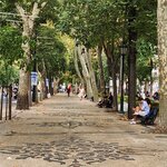 Photo taken by Wayne Z