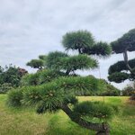 Photo taken by Mark C