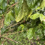 Photo taken by Alexia M