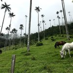 Photo taken by Sophie E