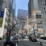 Photo taken by Sakura I