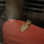 Photo taken by katie u