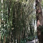 Photo taken by Kevin M