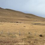 Photo taken by vedamoorthy s