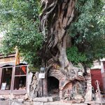 Photo taken by Pania S