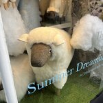 Photo taken by Gene L