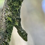 Photo taken by Sabrina R