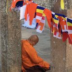 Photo taken by Sylvanna C