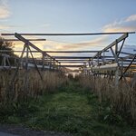 Photo taken by anne b