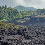 Photo taken by Camille S