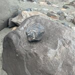 Photo taken by Keith S