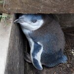 Photo taken by Kaya W