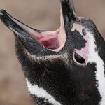 Photo taken by Eric T