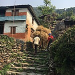 Photo taken by Jeroen v