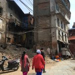 Devastation, but life goes on | Photo taken by Janet B