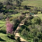 Photo taken by Tamara C