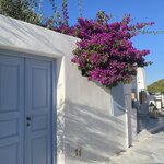 Photo taken by Desi O