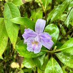 Photo taken by Michelle C