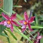 Photo taken by Natascia V