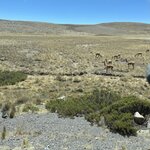 Photo taken by Shanthi V