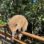 Photo taken by Kelvin V