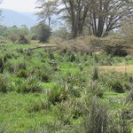 Photo taken by Kristin M