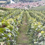 Photo taken by Michele B