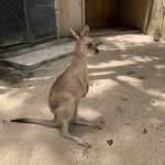 Photo taken by Julie H