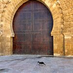 Photo taken by Kris C