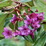 Photo taken by Miranda M