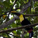 Photo taken by Sabine V