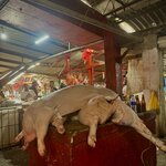 Photo taken by Sophie F