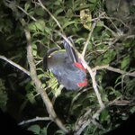 Photo taken by Sophia N