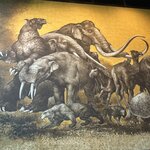 Photo taken by Sally H