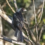 Photo taken by Graham D