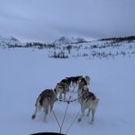 Photo taken by Jennifer M