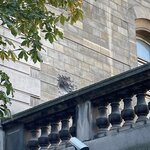 Photo taken by Kristin S