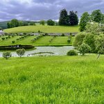 Photo taken by Brett T