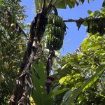 Photo taken by Alexia M