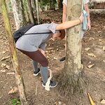 Photo taken by Tony F