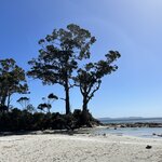 Photo taken by Amy Z