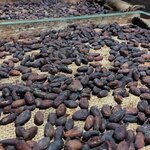 Photo taken by Sarah R