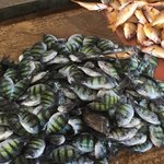 Photo taken by Wendy T